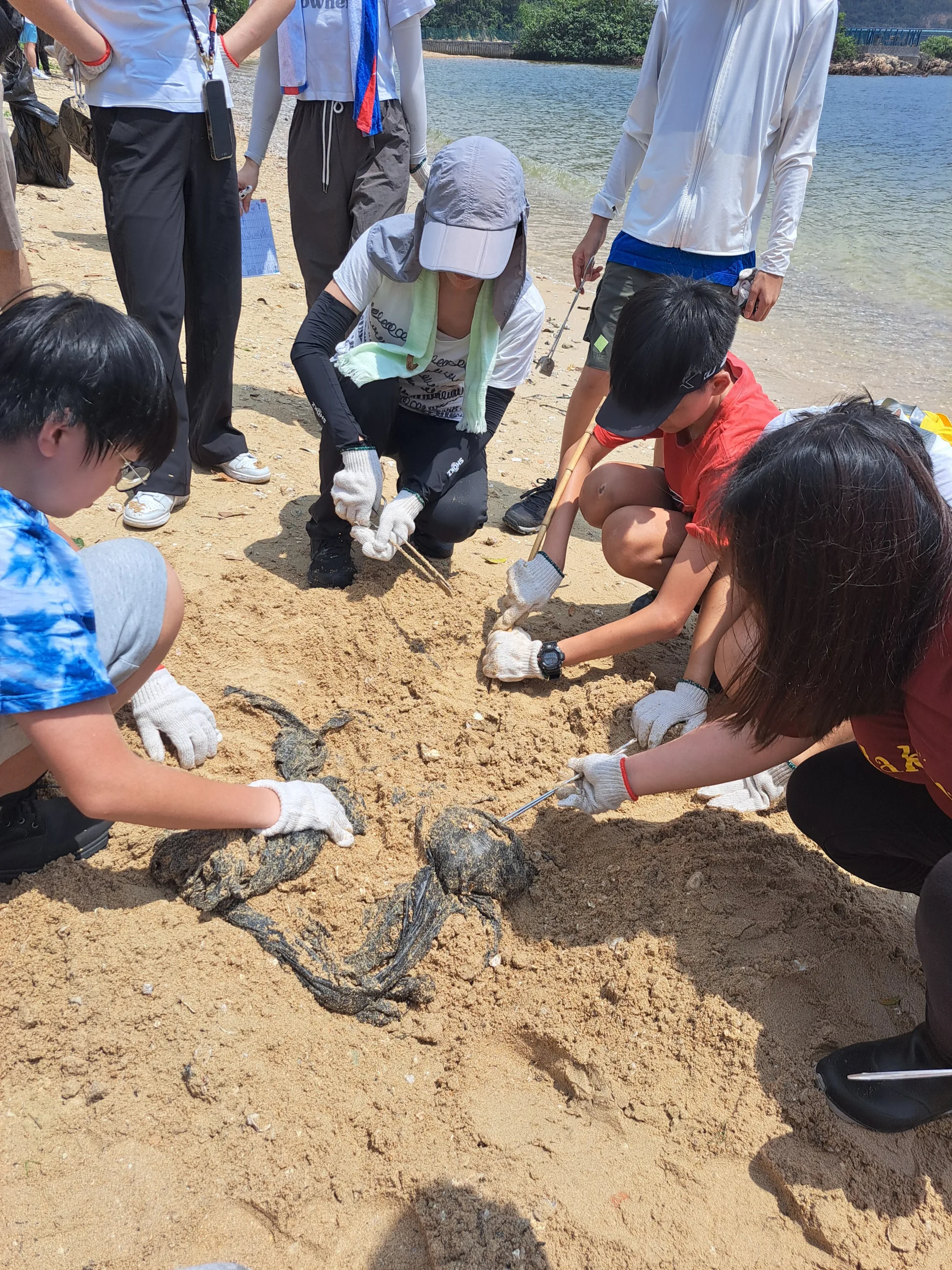 海岸清潔